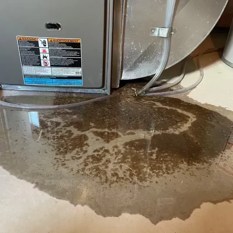 Appliance Leak Cleanup in Imperial, CA